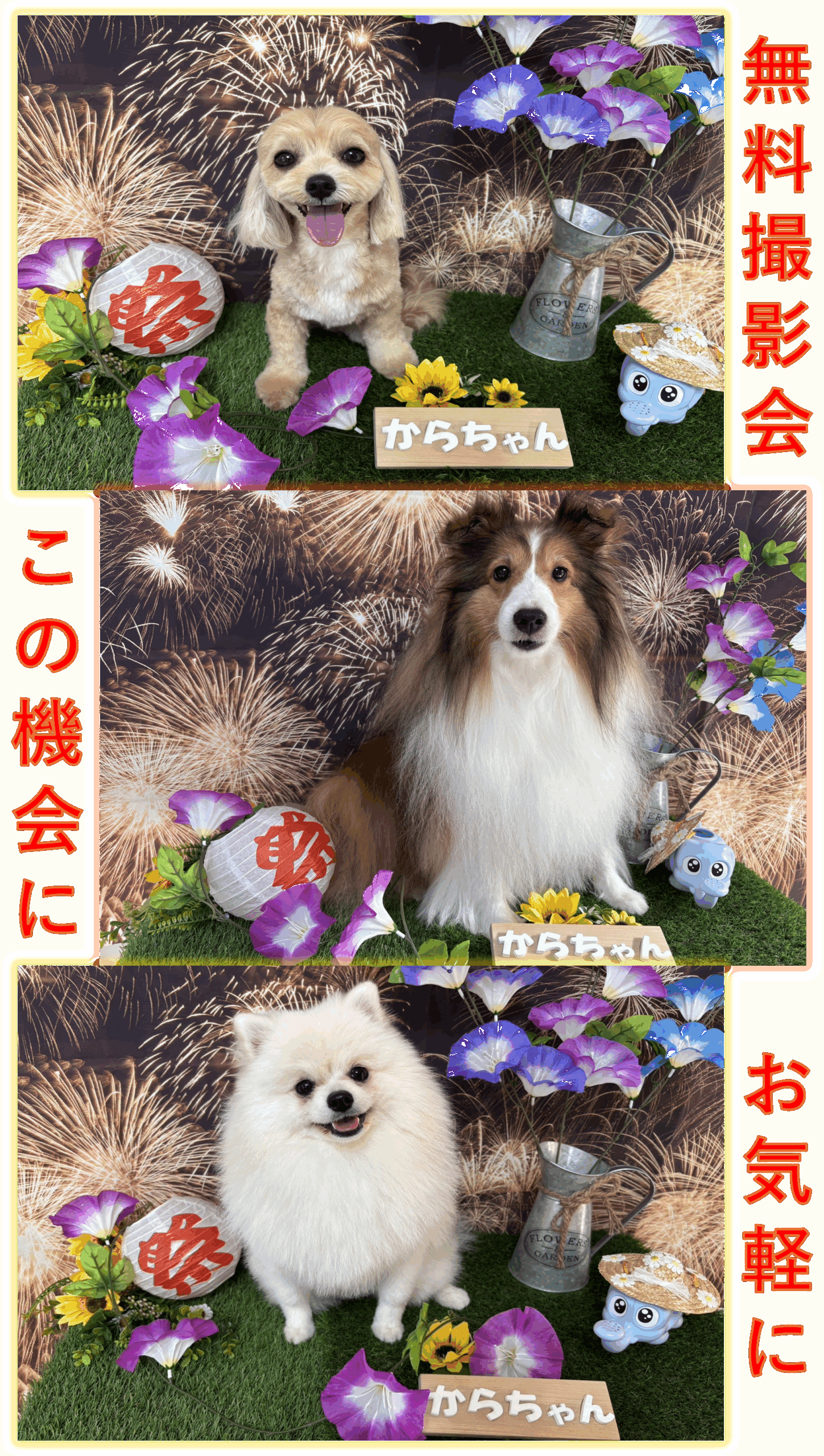 無料撮影会POP2