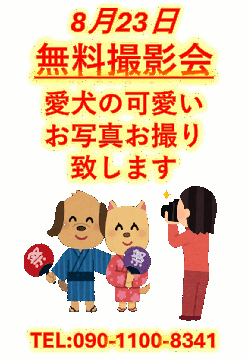 無料撮影会POP
